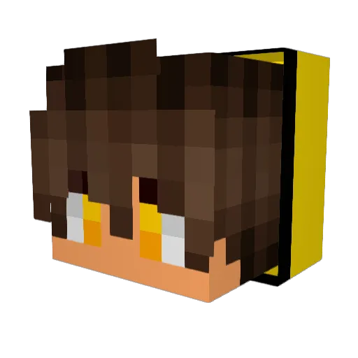 Jian073 Minecraft avatar head, 3D render
