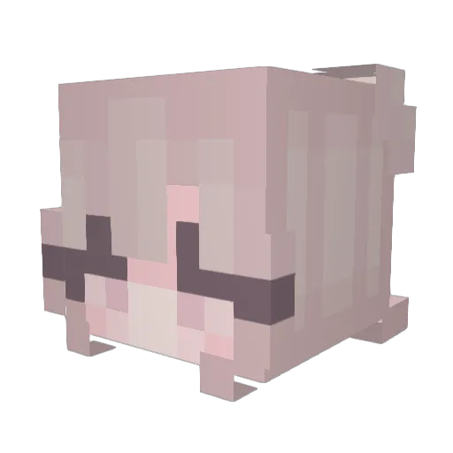 Jian0817 Minecraft avatar head, 3D render