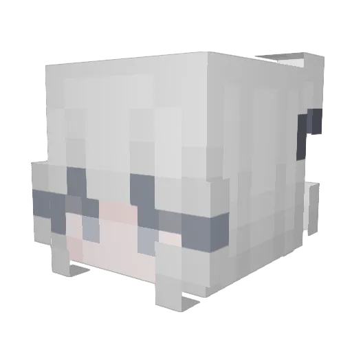 JianXzy Minecraft avatar head, 3D render