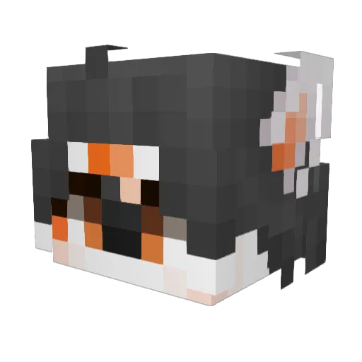 Jiang_Mo_ Minecraft avatar head, 3D render