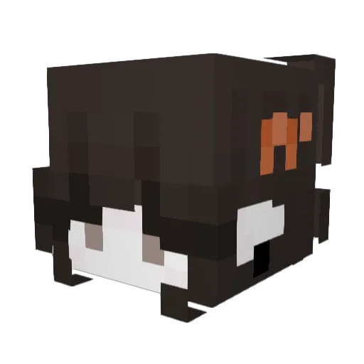Jiase_ Minecraft avatar head, 3D render