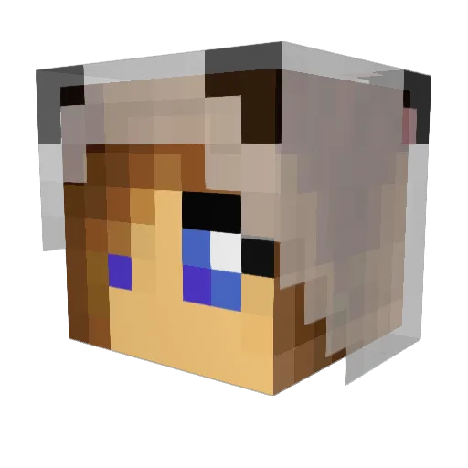 JibbeDz Minecraft avatar head, 3D render