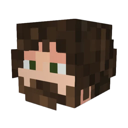 Jibbly_Bits Minecraft avatar head, 3D render