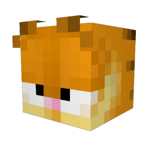 Jibboneus69 Minecraft avatar head, 3D render