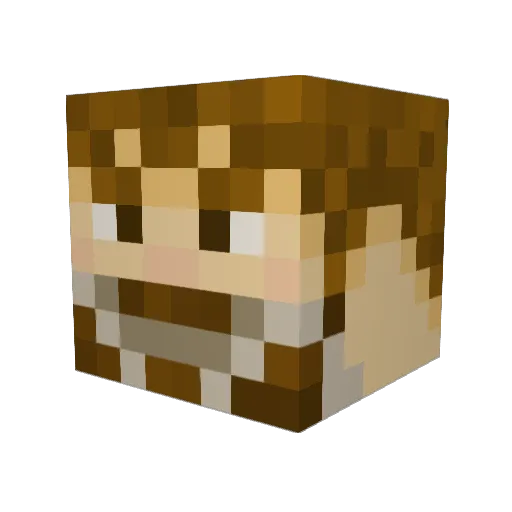 Jibboomer Minecraft avatar head, 3D render