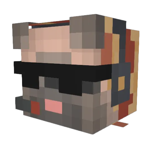 JibrilSage Minecraft avatar head, 3D render