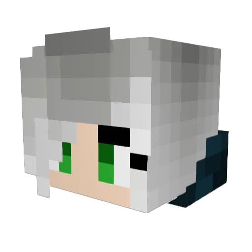 Jicho123 Minecraft avatar head, 3D render