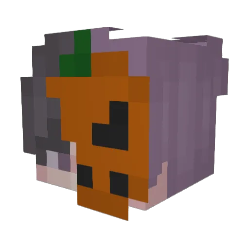 JidoRadtke Minecraft avatar head, 3D render