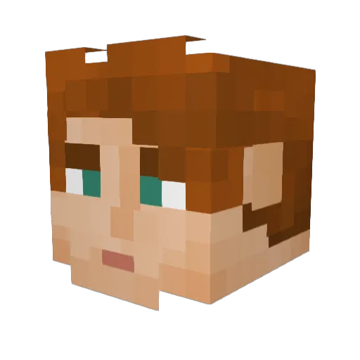 Jigglebrugal Minecraft avatar head, 3D render