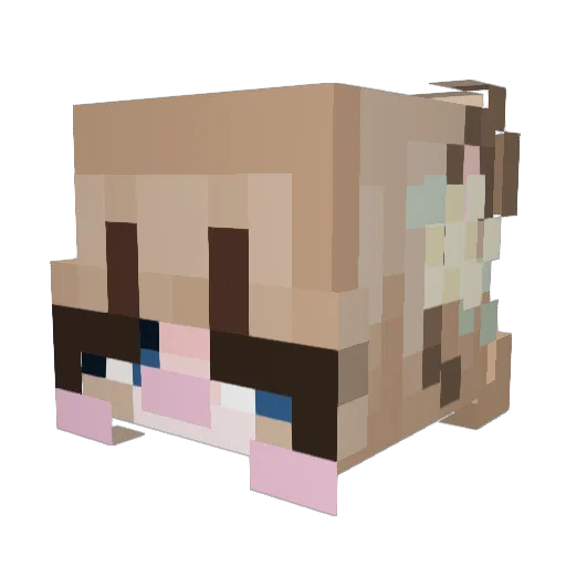 Jigglie Minecraft avatar head, 3D render