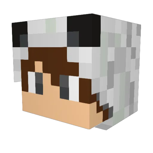 JigglyPooof Minecraft avatar head, 3D render