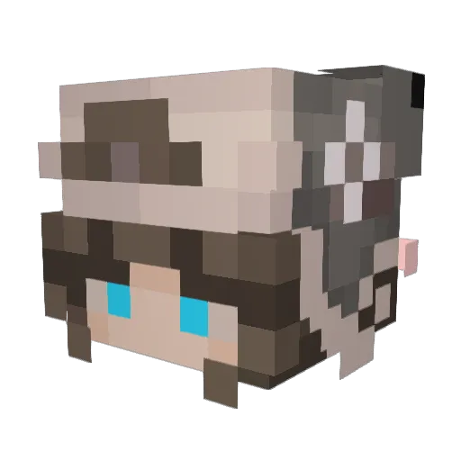 Jiinzos Minecraft avatar head, 3D render