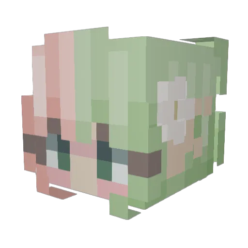 Jiiruka Minecraft avatar head, 3D render