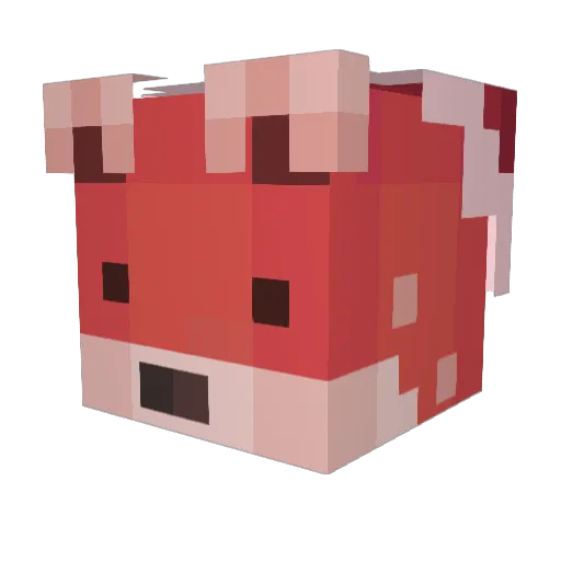 Jikang672 Minecraft avatar head, 3D render