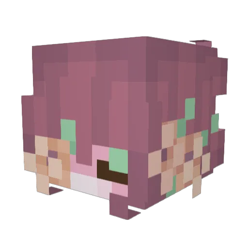 Jikwai Minecraft avatar head, 3D render