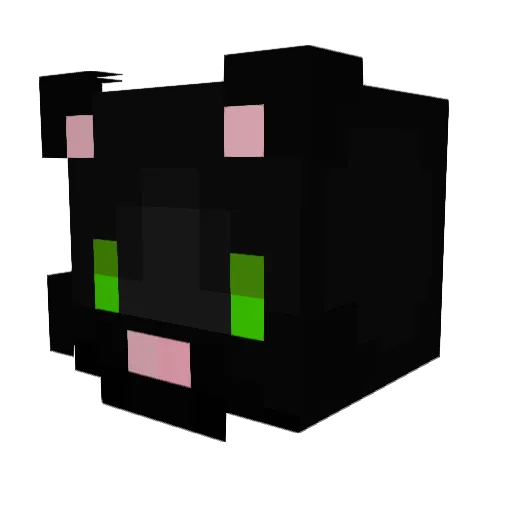 Jileongi Minecraft avatar head, 3D render