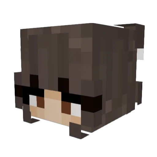 JillPill Minecraft avatar head, 3D render
