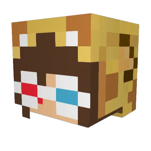 JillianDestroyer Minecraft avatar head, 3D render