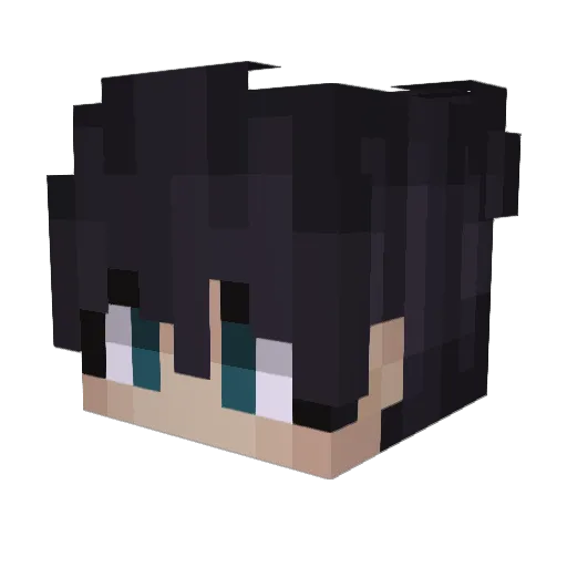 Jillow_ Minecraft avatar head, 3D render