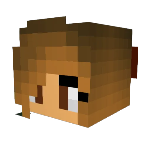 Jillybean2 Minecraft avatar head, 3D render