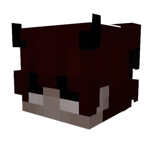 Jiln Minecraft avatar head, 3D render