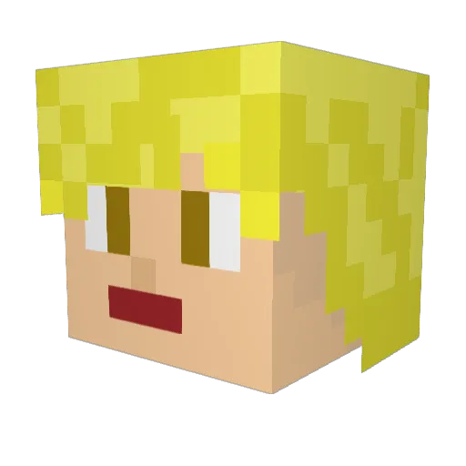 Jim9sd Minecraft avatar head, 3D render