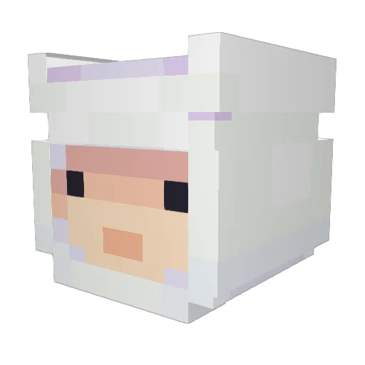 JimJambwe Minecraft avatar head, 3D render