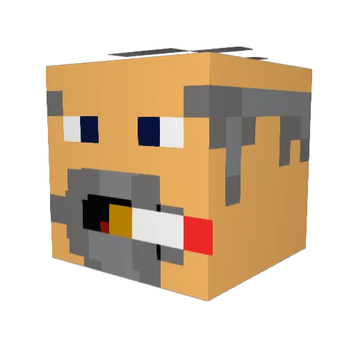 JimJams1234 Minecraft avatar head, 3D render