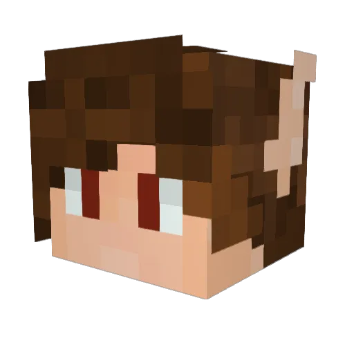 JimWasFound Minecraft avatar head, 3D render