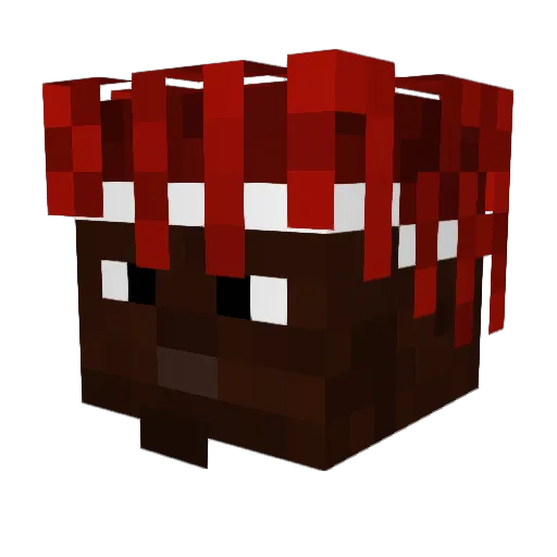 Jim_Cat Minecraft avatar head, 3D render