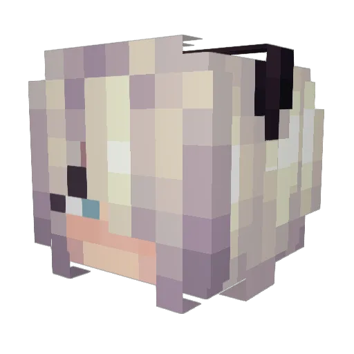 Jim_Tomato Minecraft avatar head, 3D render