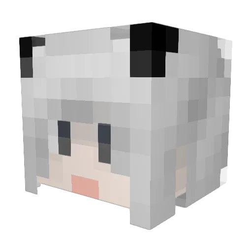 Jim_ft Minecraft avatar head, 3D render