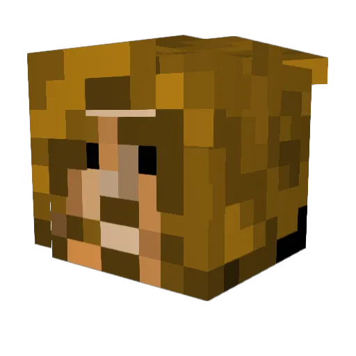 Jimblybobs Minecraft avatar head, 3D render