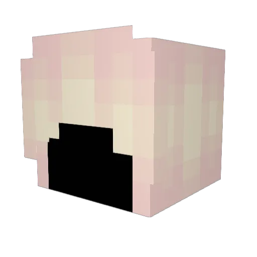 Jimbo5737 Minecraft avatar head, 3D render