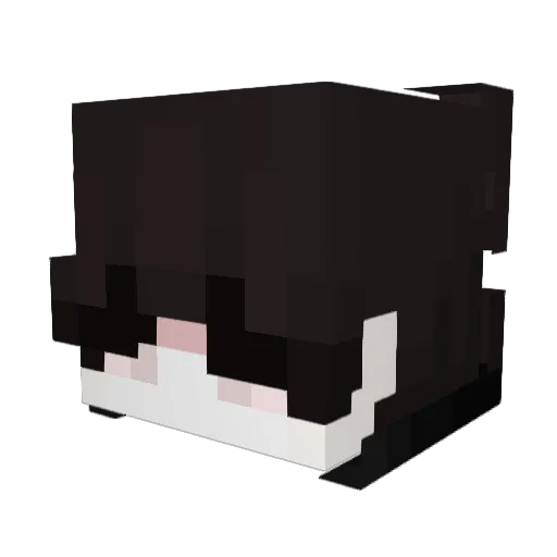 JimbobShminckle Minecraft avatar head, 3D render