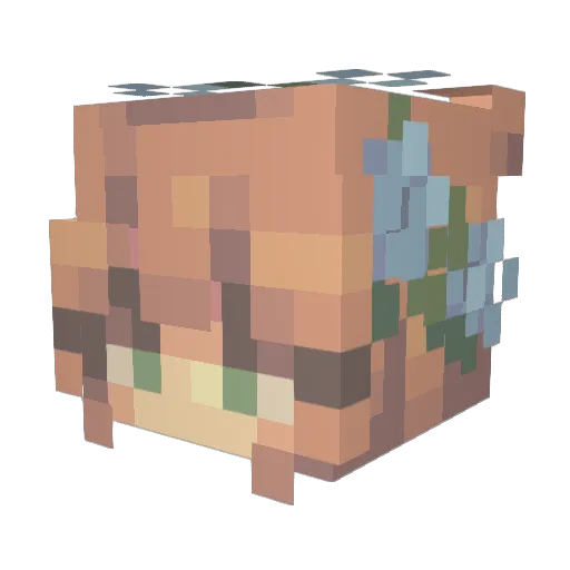 Jiminlover123 Minecraft avatar head, 3D render