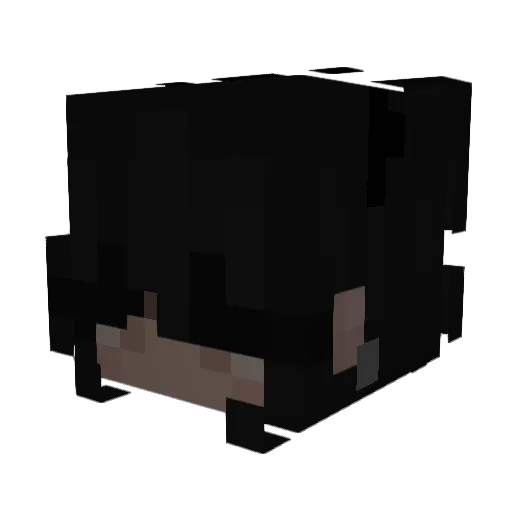 Jimmb04 Minecraft avatar head, 3D render