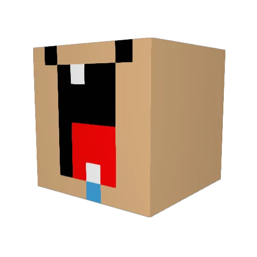 Jimmbdt9 Minecraft avatar head, 3D render