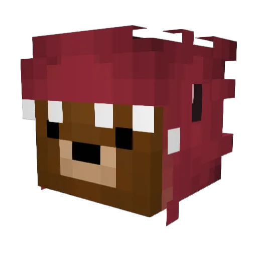 Jimmie826 Minecraft avatar head, 3D render