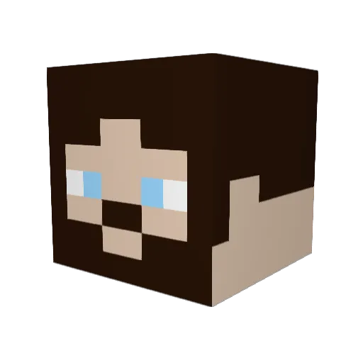 Jimmieakessonsd Minecraft avatar head, 3D render