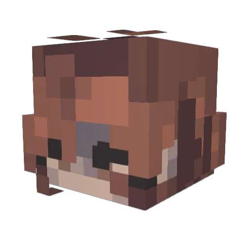 Jimmithy385 Minecraft avatar head, 3D render