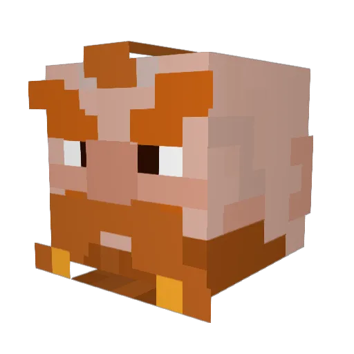 Jimmy0117 Minecraft avatar head, 3D render