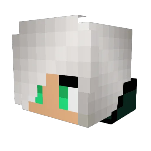 Jimmy0487 Minecraft avatar head, 3D render