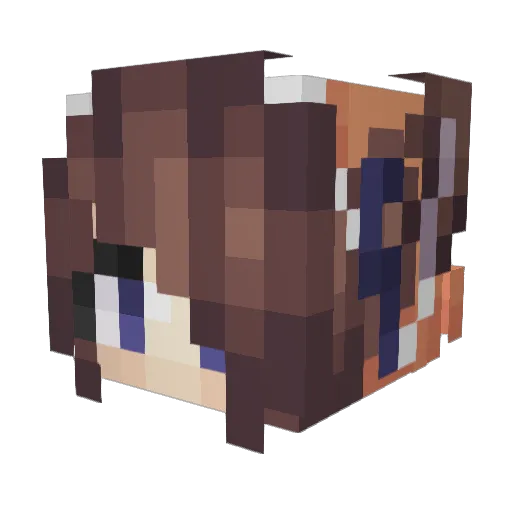 Jimmy2503 Minecraft avatar head, 3D render