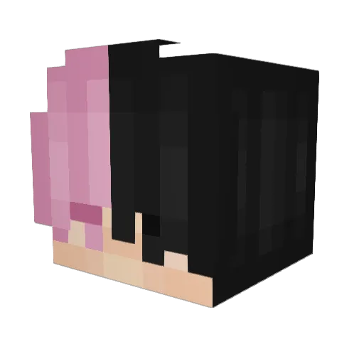 Jimmy8171 Minecraft avatar head, 3D render