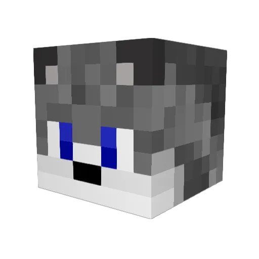 JimmyBob45 Minecraft avatar head, 3D render