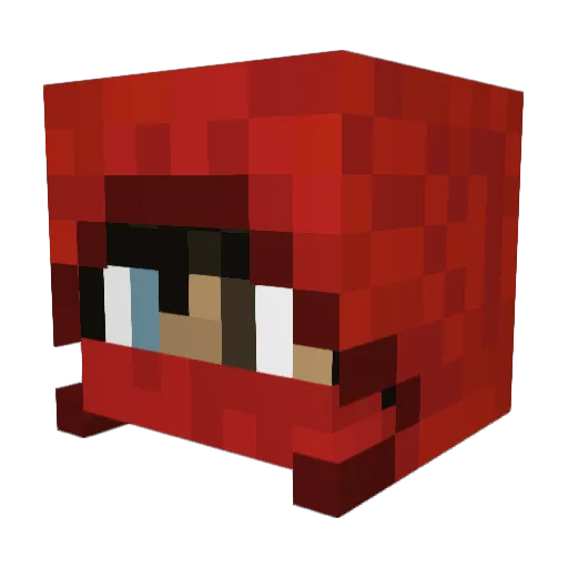 JimmyFromTown77 Minecraft avatar head, 3D render