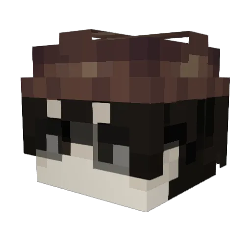 JimmyLambanog Minecraft avatar head, 3D render