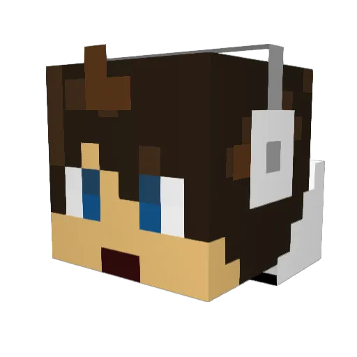 JimmyMadDog Minecraft avatar head, 3D render