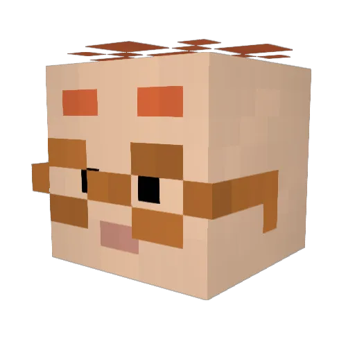 JimmyNeuktron Minecraft avatar head, 3D render